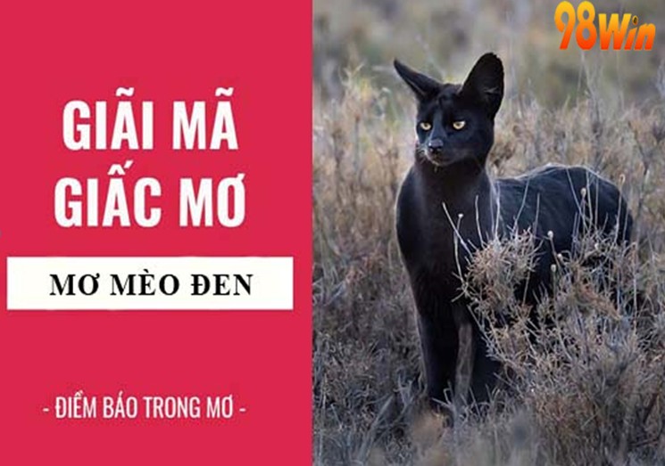 Chiêm bao phải mèo đen