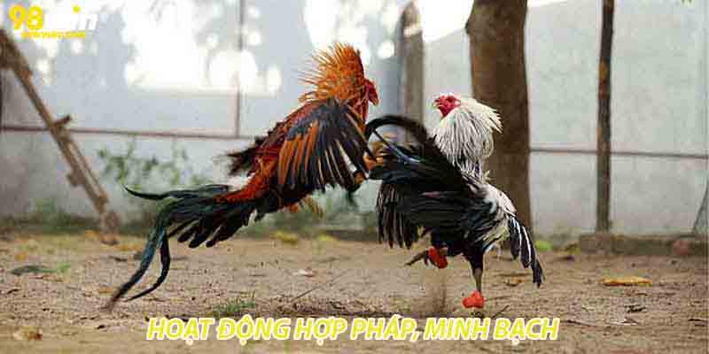 Hoạt động hợp pháp, minh bạch