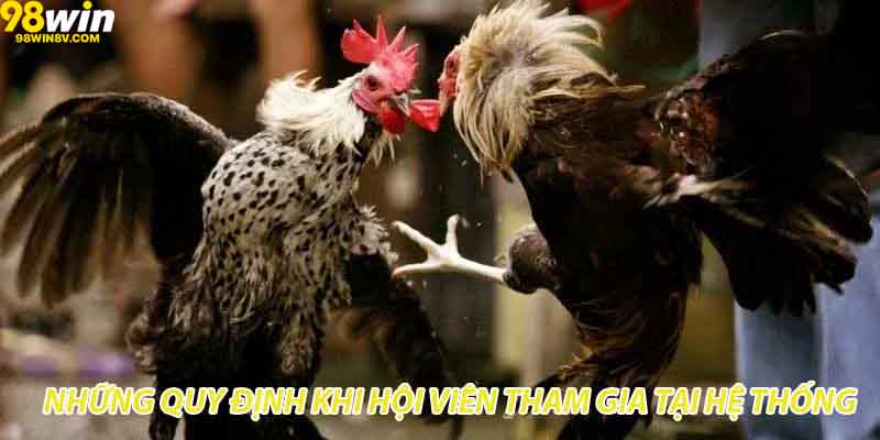 Những quy định khi hội viên tham gia tại hệ thống